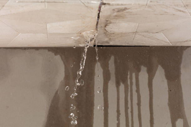 Professional Burst Pipe Cleanup technician working in Milo, ME